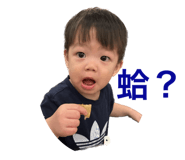637993798