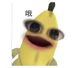 637994553