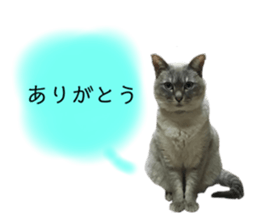 637998037