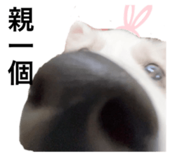 638012413