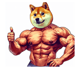 638030023