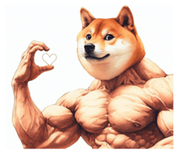 638030033