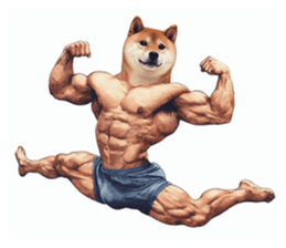 638030053