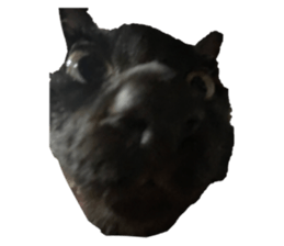 638034982