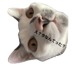 638035475