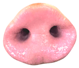 638081510
