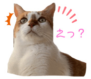 638128333