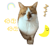 638128337