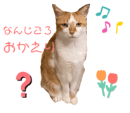 638128338