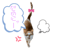 638128339