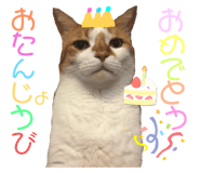 638128344