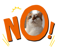 638128348