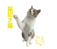 638168745