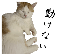 638175345