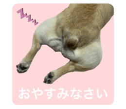 638204259