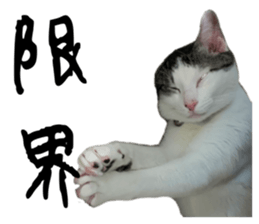 638213267