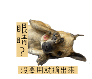 638225064