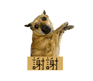 638225073