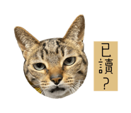 638225076