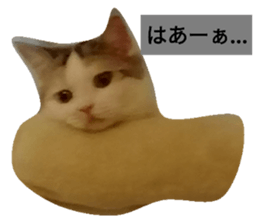 63823471