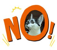 638245850