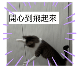 638292029