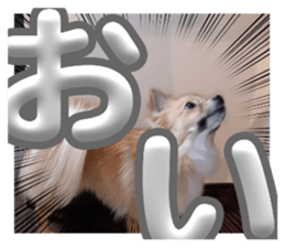 638301652