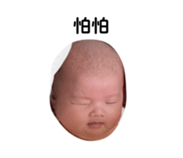 638302643