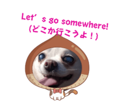 638314681