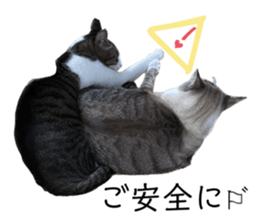 638315337