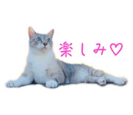 638315341