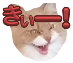 638323731
