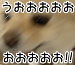 638372950