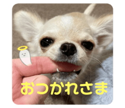 638375865