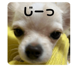 638375885