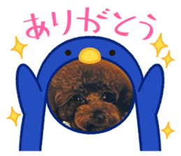 638394854