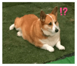 638397257