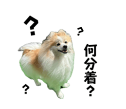 638409480