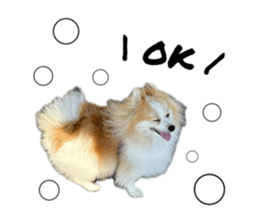 638409483