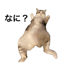 638439623