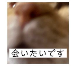 638446889