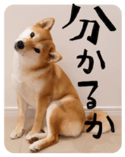 638451881