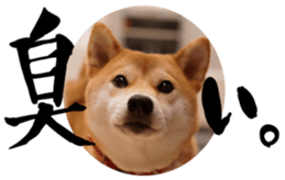 638451890
