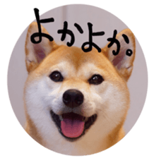 638451925