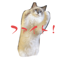 638453390