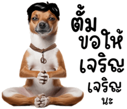 638462538