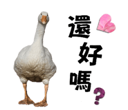638474427