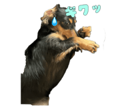 638514532
