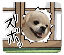 638524476