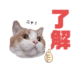 638565688